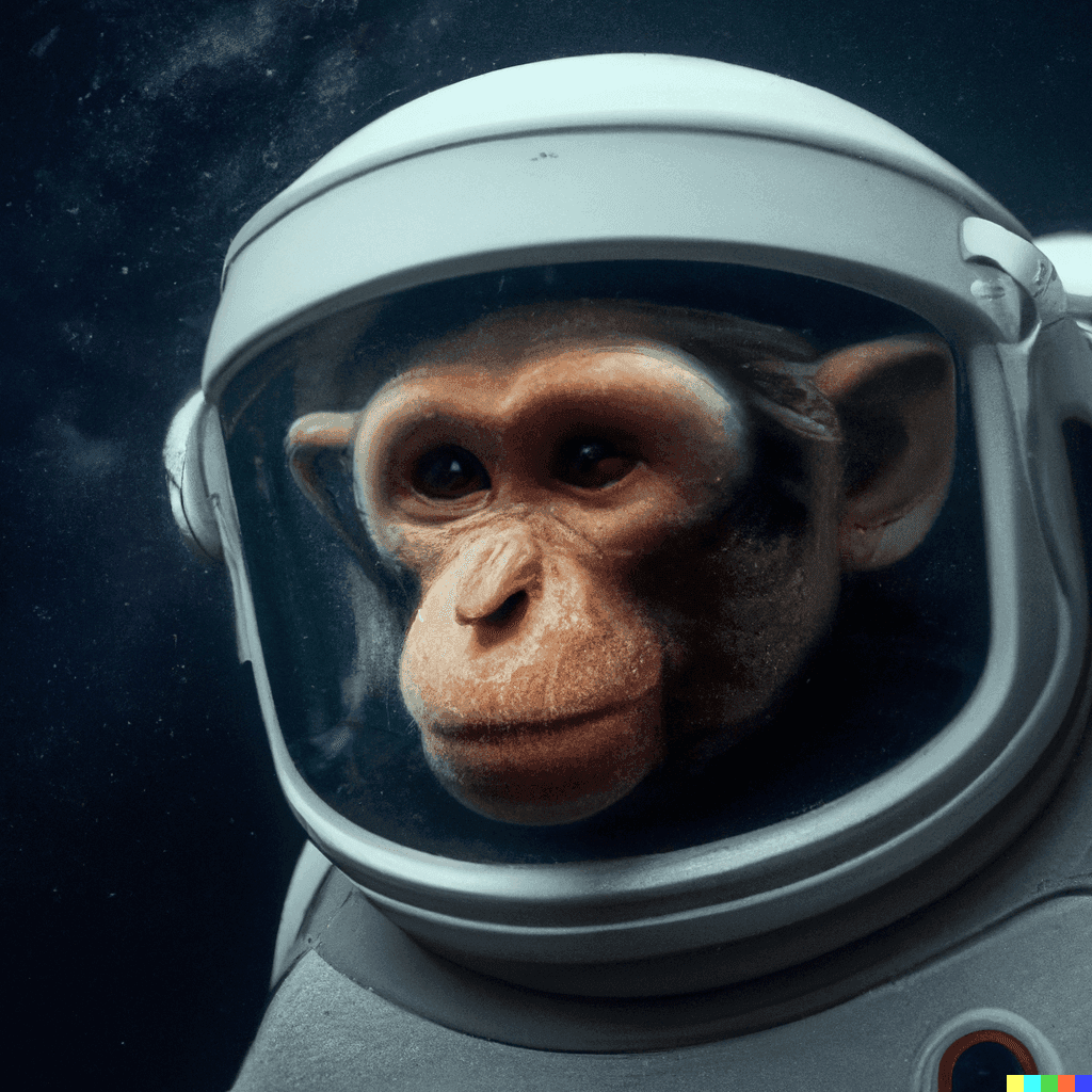 DALL·E 2022-08-14 11.00.38 - High quality photo of a monkey astronaut.png